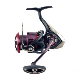   Daiwa 17 Fuego LT 1000D