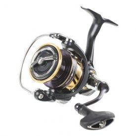   Daiwa 17 Legalis LT 1000D