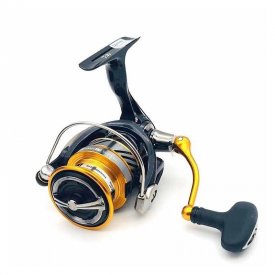   Daiwa 19 Revros LT 1000