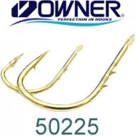  Owner 50225 2 